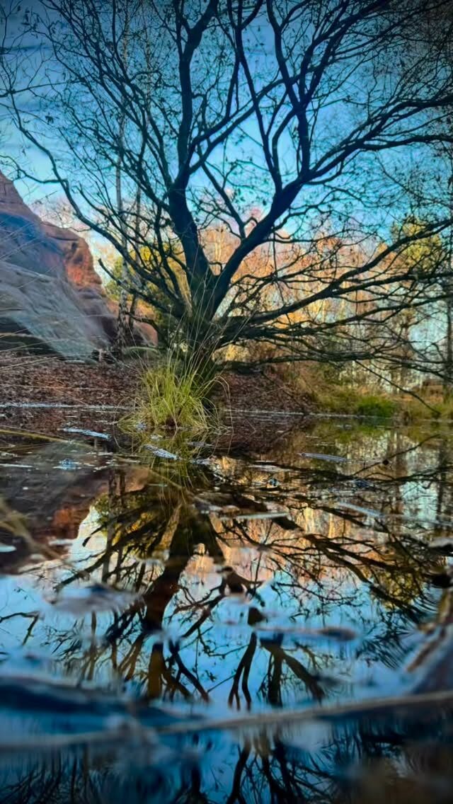 Dear wild ones 🌿✨ as we move toward the longest day, it really does feel like we’ve been in these dark days for a long while. I’ve been trying to meet this shadow time with presence and softness, responding to the cycle with flow rather than force.

It hasn’t always been easy. Trusting that what needs to be done will happen, even as I allow myself a slower pace, has felt like a practice in itself.

Last week, after meeting with a good friend and feeling aligned with synchronicity, I let myself wander into an antique barn instead of rushing home as I usually would. Inside were some real treasures waiting to be found, including the strangest little wooden feet and a beautiful antique birdcage, already whispering of future sculptures and stories 🕯️🐦

#shadowseason #wintertide #slowmaking #artistjourney #synchronicity #foundobjects #antiquefinds #mythiclife #wildsouls #flotsam_fables