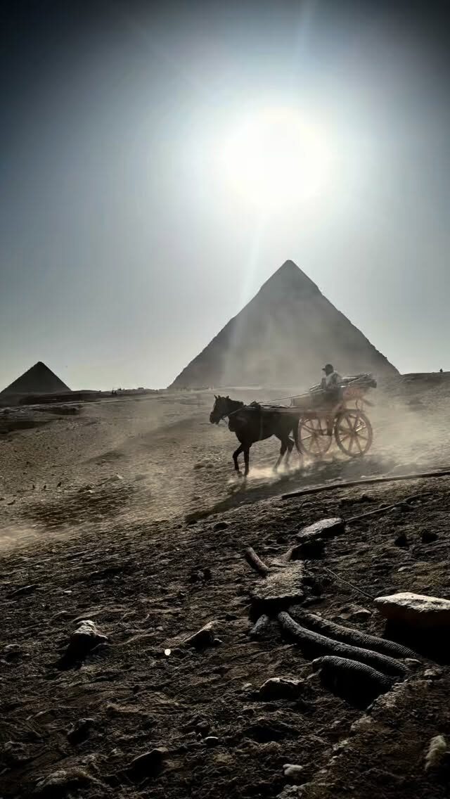 I absolutely love learning about myths, folklore and stories from all around the world ✨🌍 I find it endlessly fascinating how the same stories, symbols and archetypes appear again and again across different cultures and landscapes, as if they’re woven into us all.

Last year I was so lucky to visit two places I’d dreamed of for years, Egypt and the Minoan palace at Crete. Both felt steeped in myth, magic and spirit, places where the old stories still hum quietly beneath the surface 🐍🌿🕯️
.
.
.
.
.
#mythandfolklore #sharedstories #ancientplaces #egypt #flotsam_fables