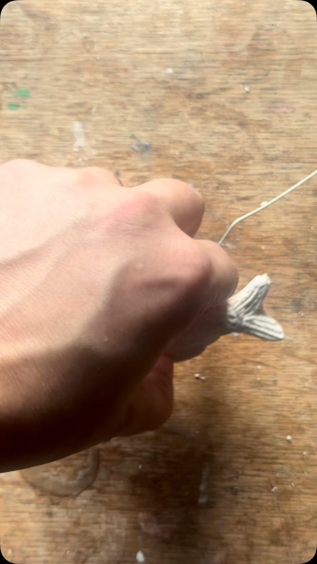 I’m now beginning to build my fish into 3D for the Bucca’s cave… @darkcornwall 
.
.
.
.
.
#flotsam_fables #flotsam_fables_art #bucca #darkcornwall