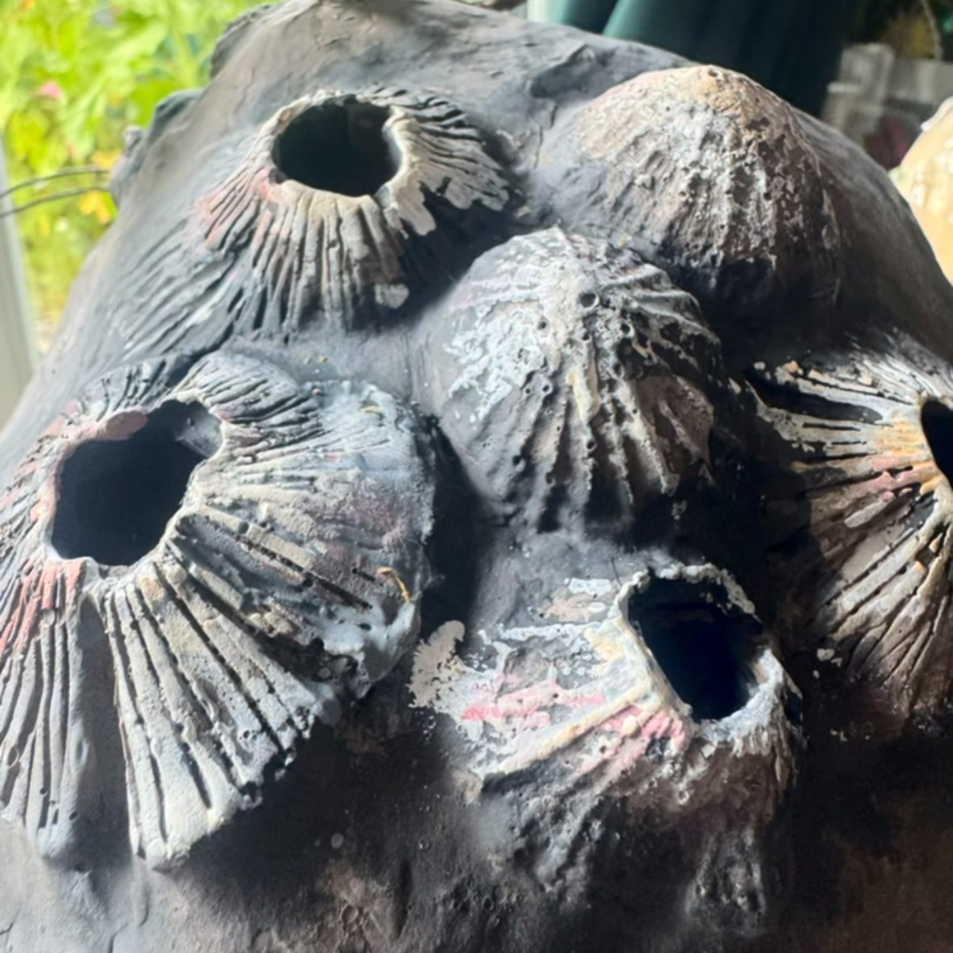 I was so happy to get the fish attached to the cave and see this make progress to the next stage…
.
.
.
.
.
#flotsam_fables #flotsam_fables_art #bucca #darkcornwall