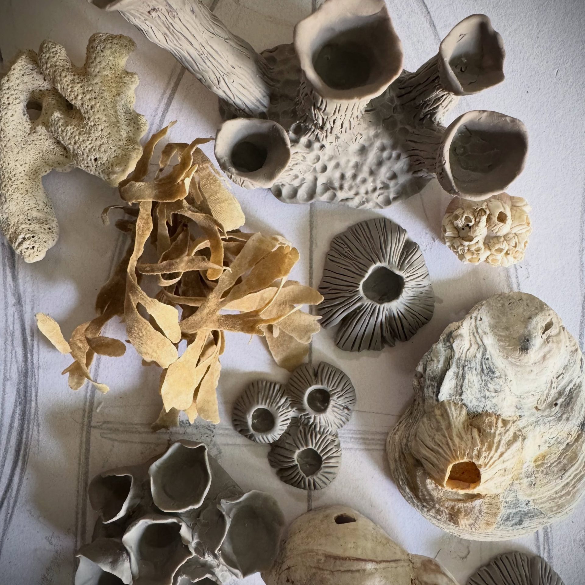 I’ve been busy making these little barnacles for Sedna. 
.
.
.
.
.
#flotsam_fables #flotsam_fables_art #barnacles #wip