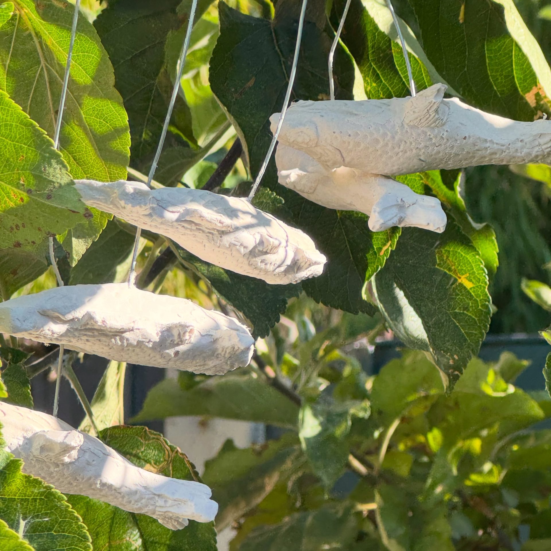 Just some fish hanging from the apple tree to dry… 
.
.
.
.
.
#flotsam_fables #flotsam_fables_art #darkcornwall