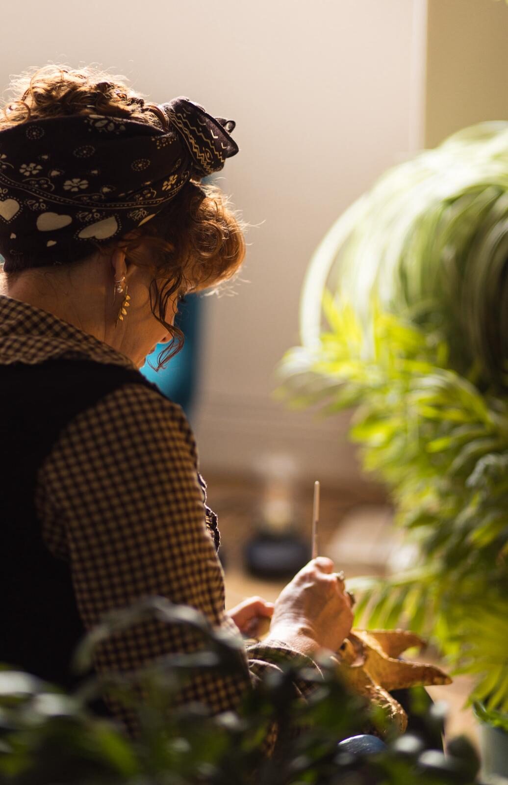 Whatsapp image 2025 12 03 at 12.16.29 - Image in article: Home