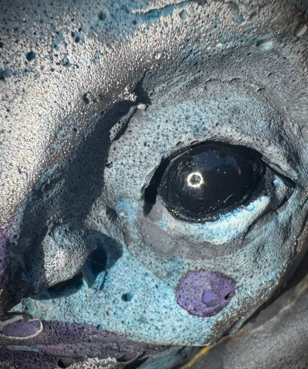 WhatsAppImage2025-06-23at14.01.512