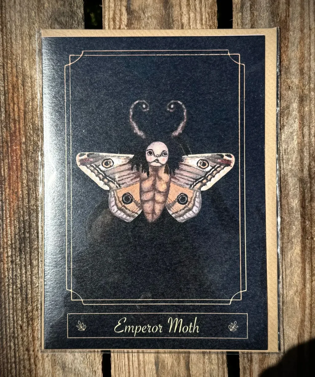 WhatsAppImage2025-06-23at14.22.101