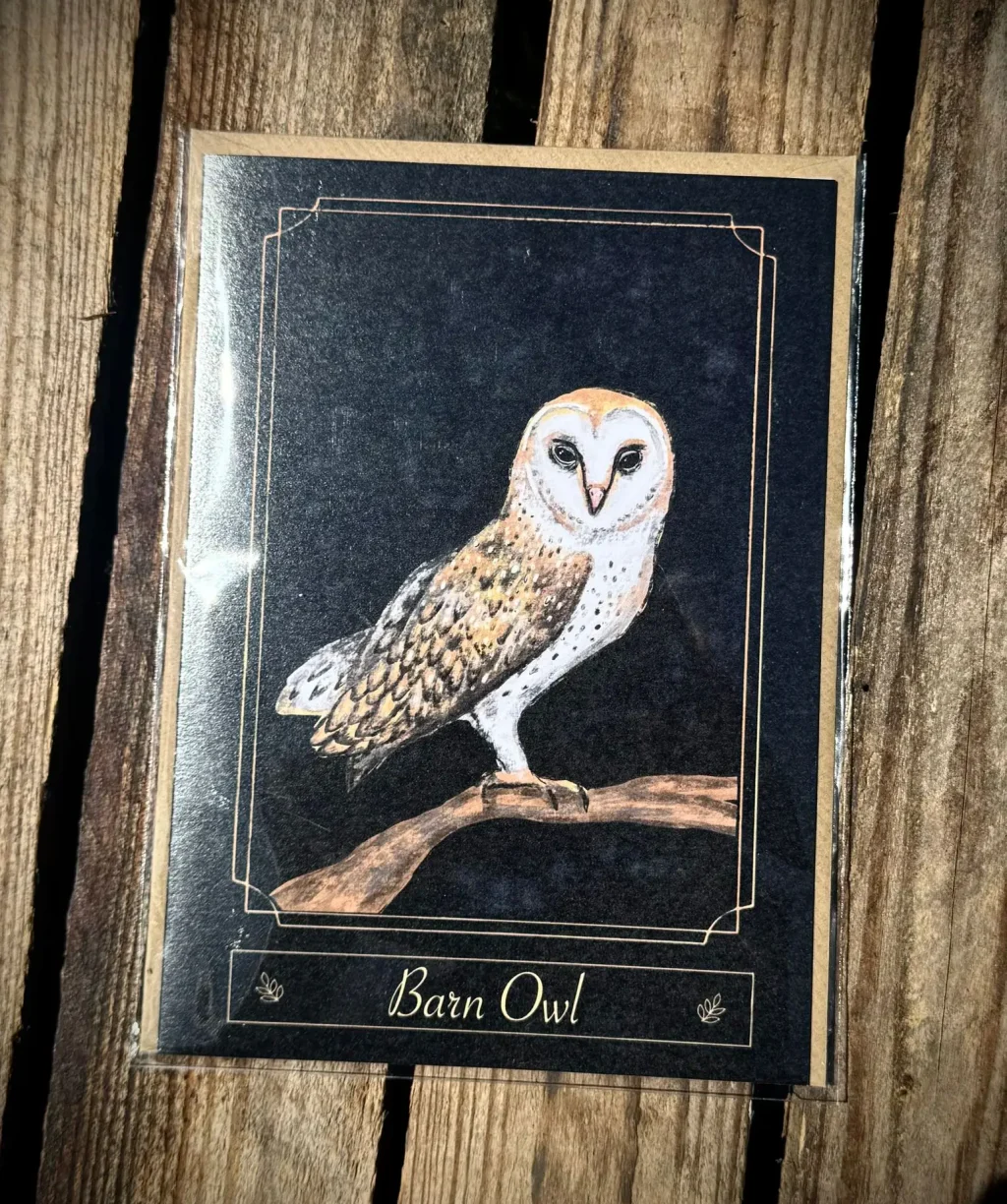 WhatsAppImage2025-06-23at14.22.103